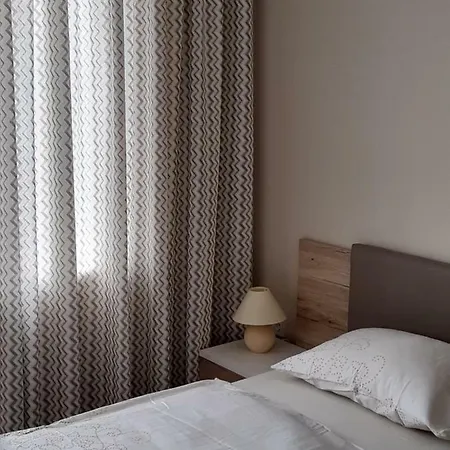 Guests Gallery بلوفديف